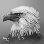 Inktober Day 11: Eagle