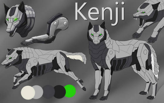 Kenji Refrence Sheet