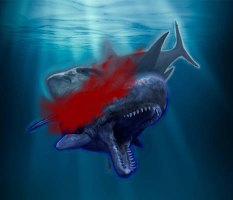 Megalodon vs Livyatan (Megalodon kill Livyatan)