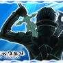 S.A.O-banner