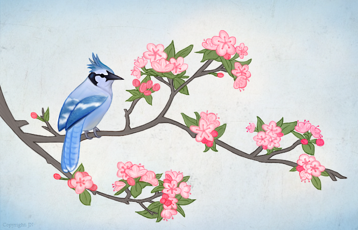 Blue Jay Blossoms