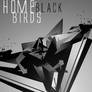 Home of black birds