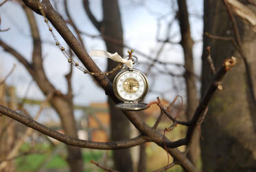 Pocket watch