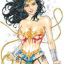 Wonder Woman - Costume Damage