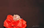 I'm shy by ELaiNes-DarkRoom
