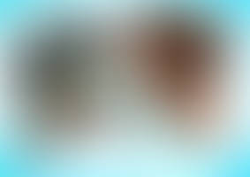 Godzilla Vs Kong Color Sd