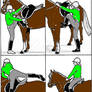 How to Mount a horse