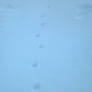 Tracks (2014-03-05 13-14-28 96)