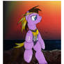 Cordy at Sea