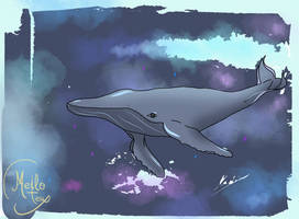 Cosmic Whale