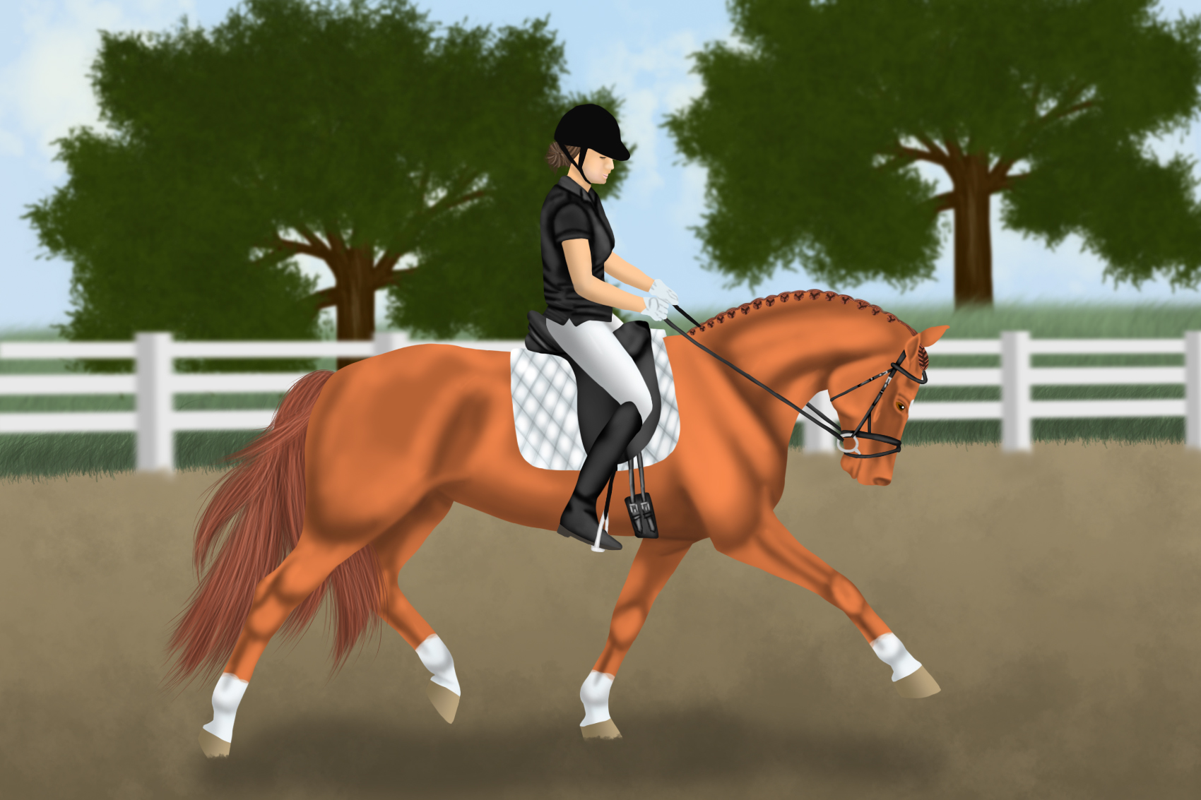 Dressage training