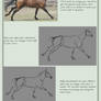 Learn through tracing