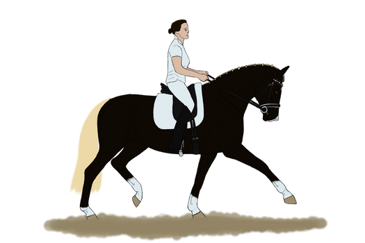 Fleur mini dressage show