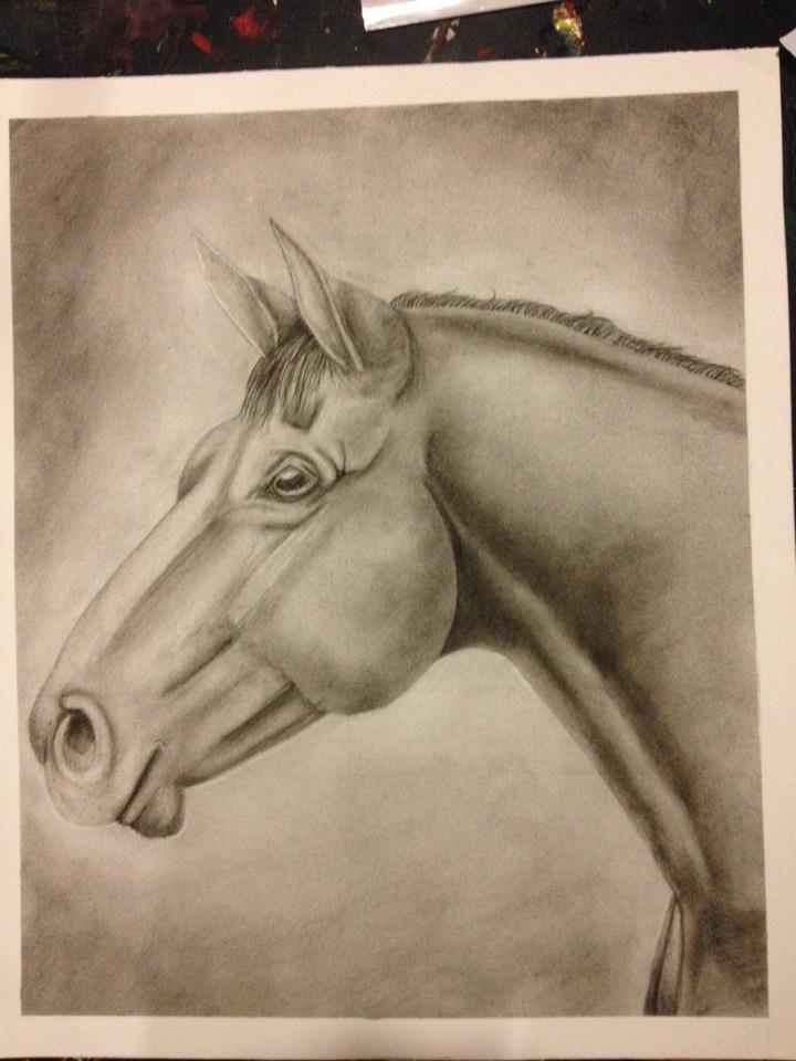 Charcoal horse headshot