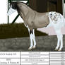 CCS Aeronwyn 1402 *deceased*