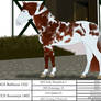 CCS Elowyn 2562 *DECEASED*