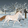 A wintery meeting