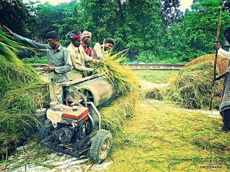 Beautiful Bangladesh 3