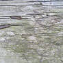 Old Wood