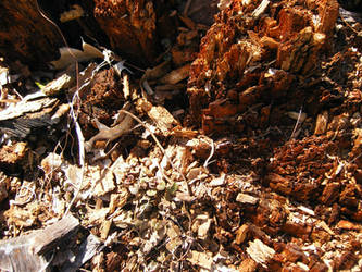 Mulch