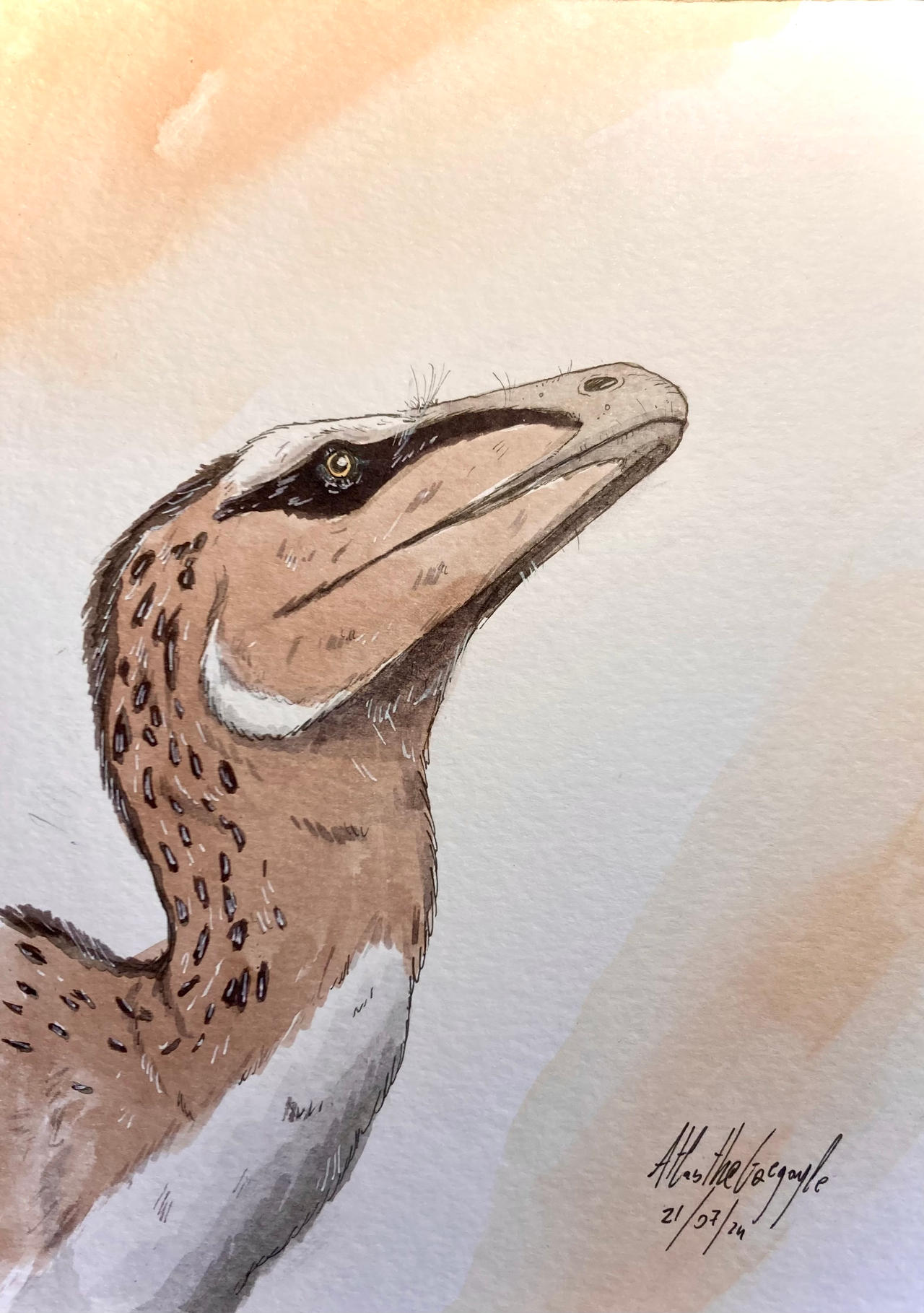 July of raptors 21: Pyroraptor by AtlasTheGargoyle on DeviantArt