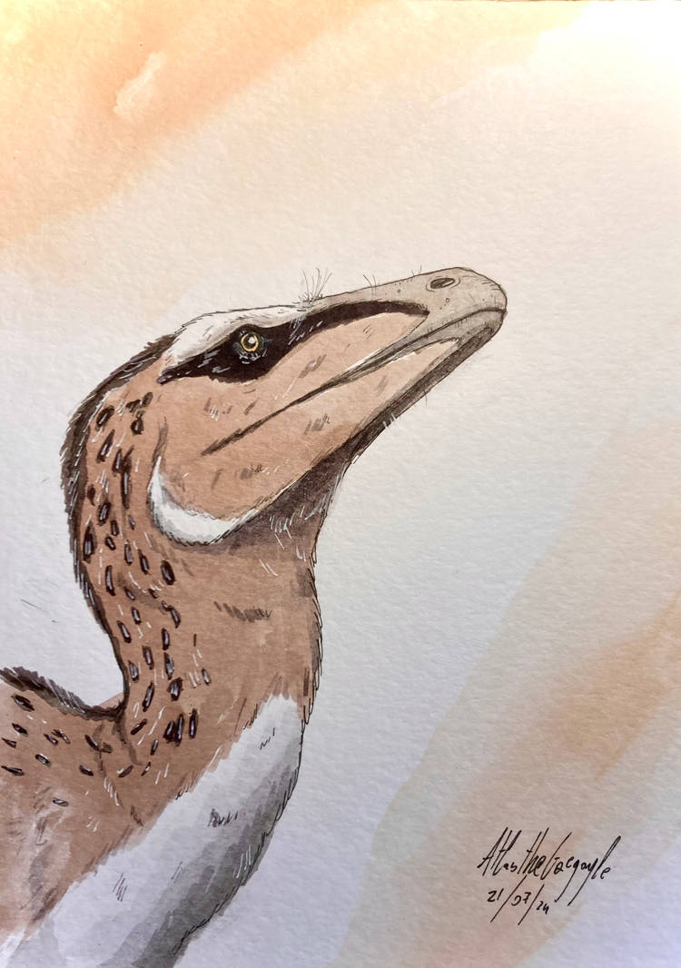 July of raptors 21: Pyroraptor by AtlasTheGargoyle on DeviantArt