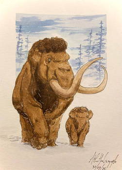 Comm. Mammut e cucciolo