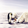 Global Warming II