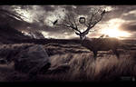 Departed Soul by KarimFakhoury