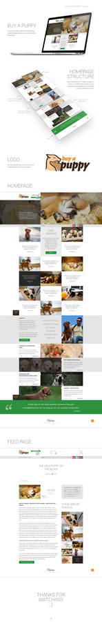 Web design - Buy a Puppy