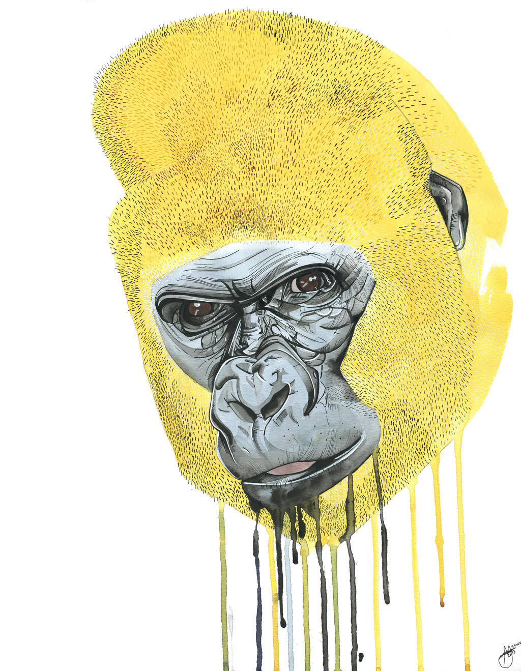 Yellow Gorilla