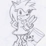 amy rose has a big hammer