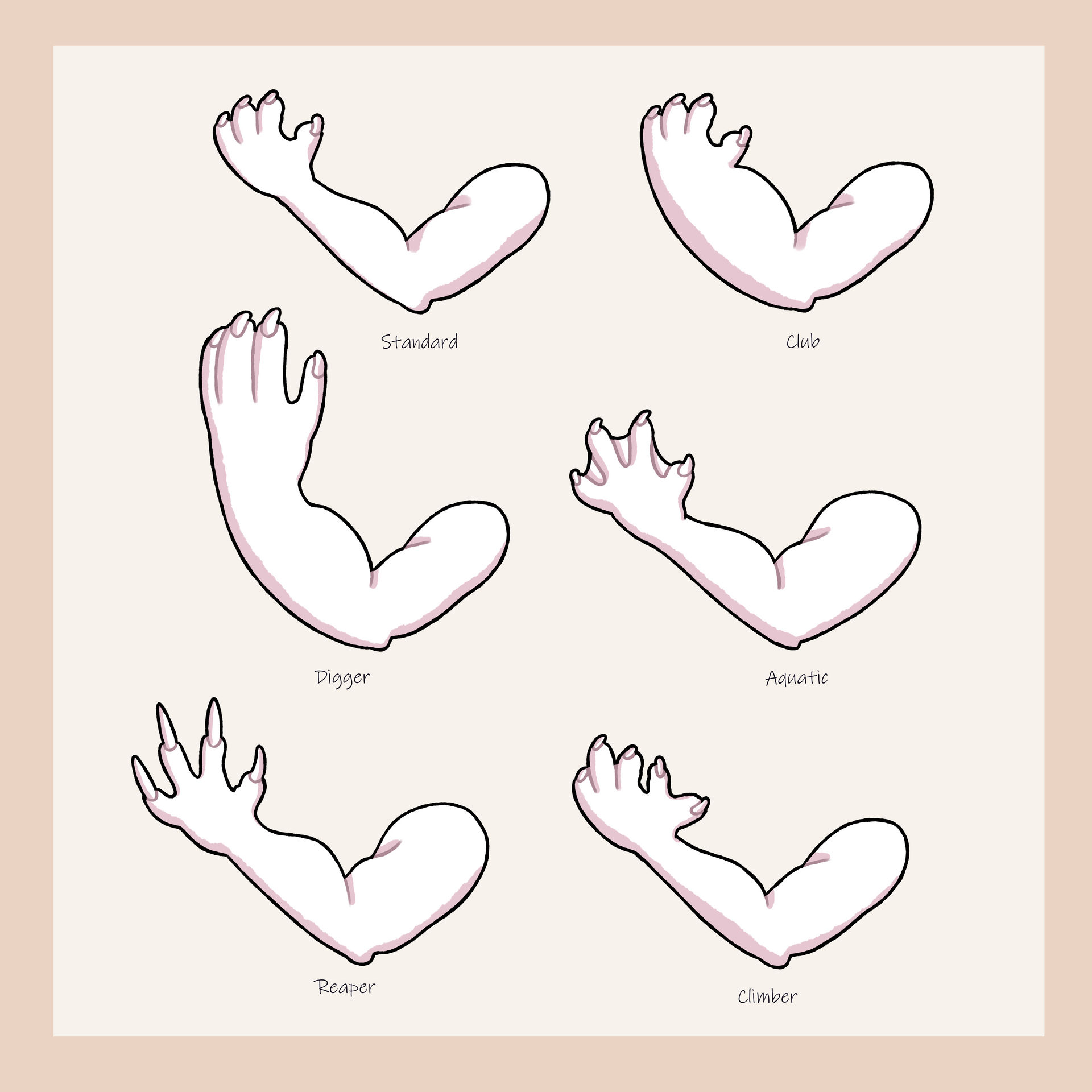 Otrid Arm Types by Flowfell on DeviantArt