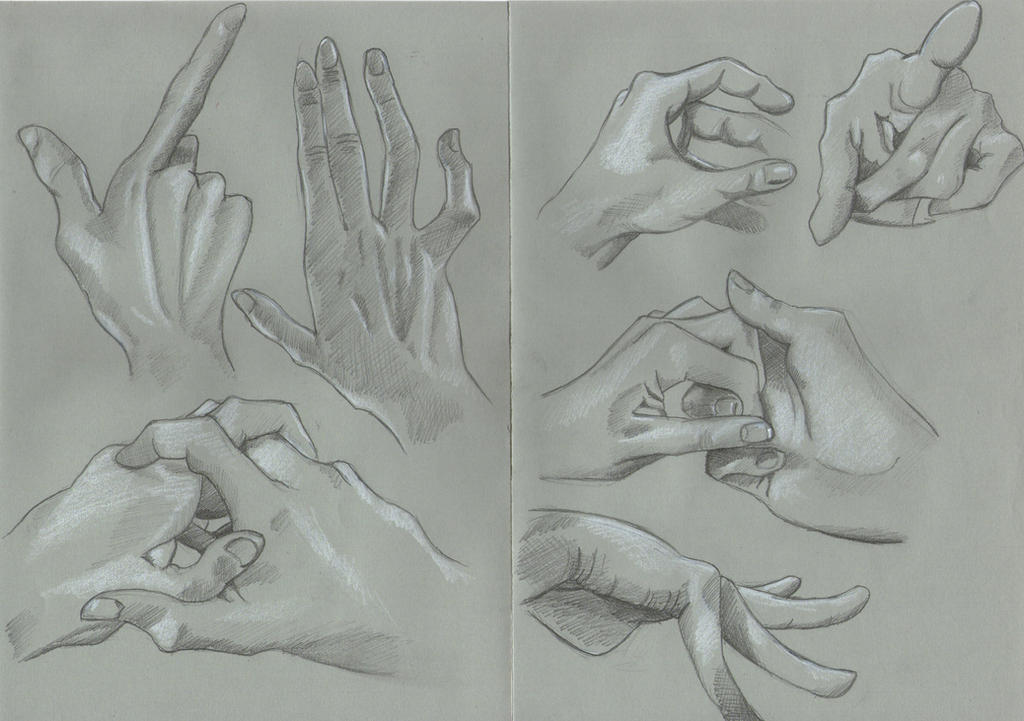 Hand Drawn Example Hand Studies by Helviriitta on DeviantArt