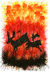 Flaming Forest II