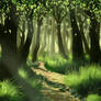 Summer in the forest