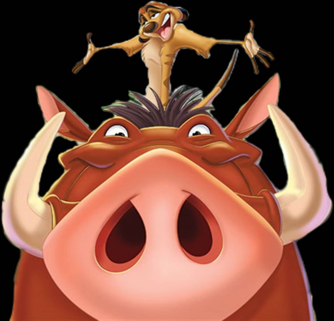 Timon En Pumbaa Achtergronden