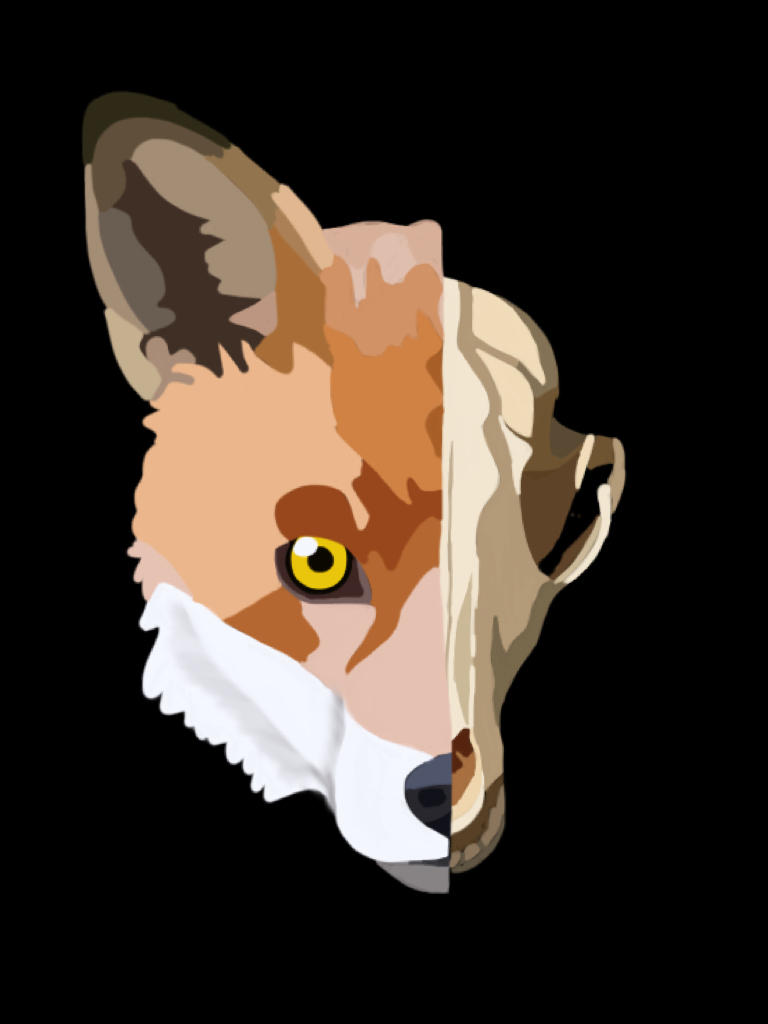Split fox head by MelodyLunairEclipse on DeviantArt