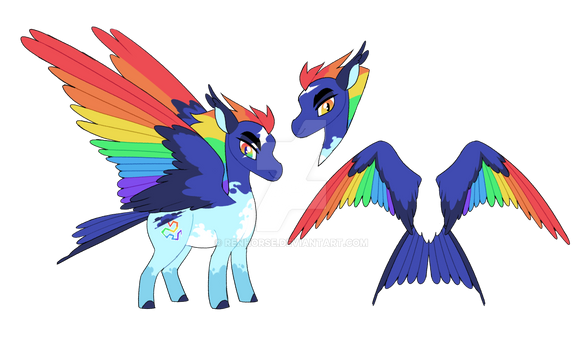 rainbow dash