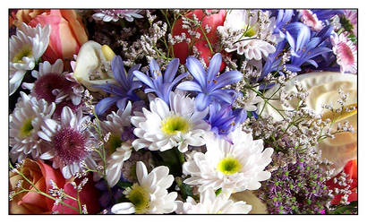 Mixed Flowers