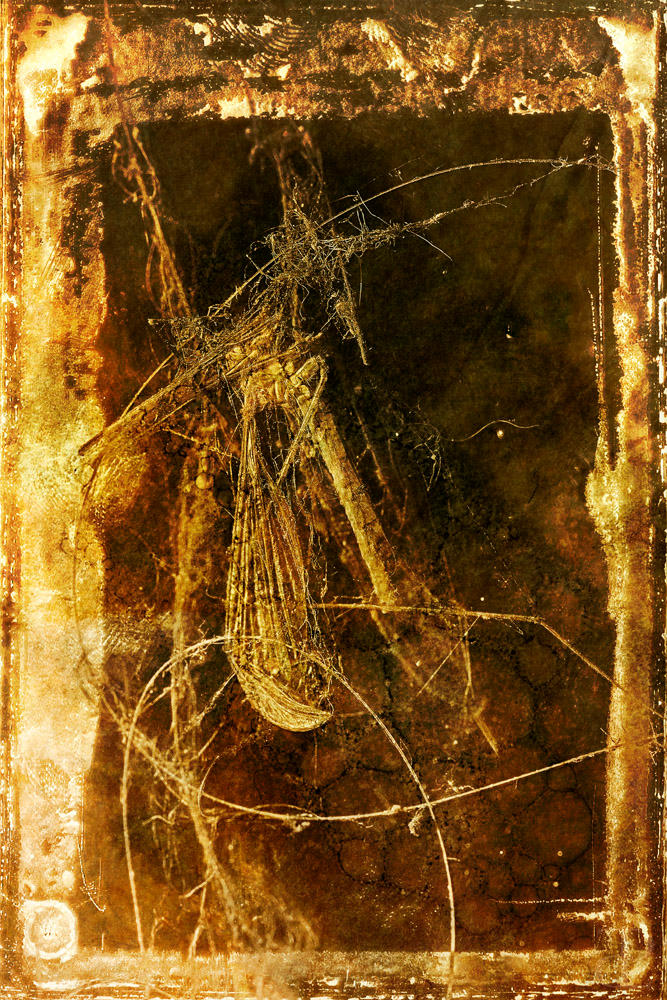 Divination 3 by UnworthyReturn on DeviantArt