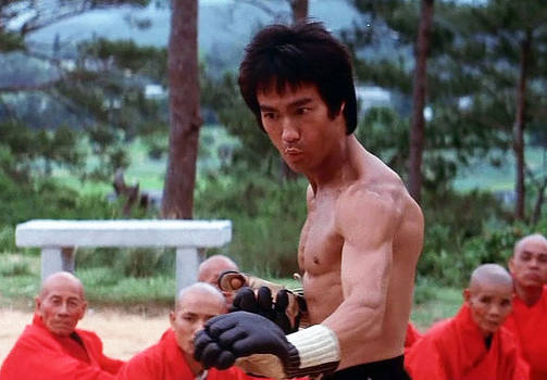 Bruce Lee in Action