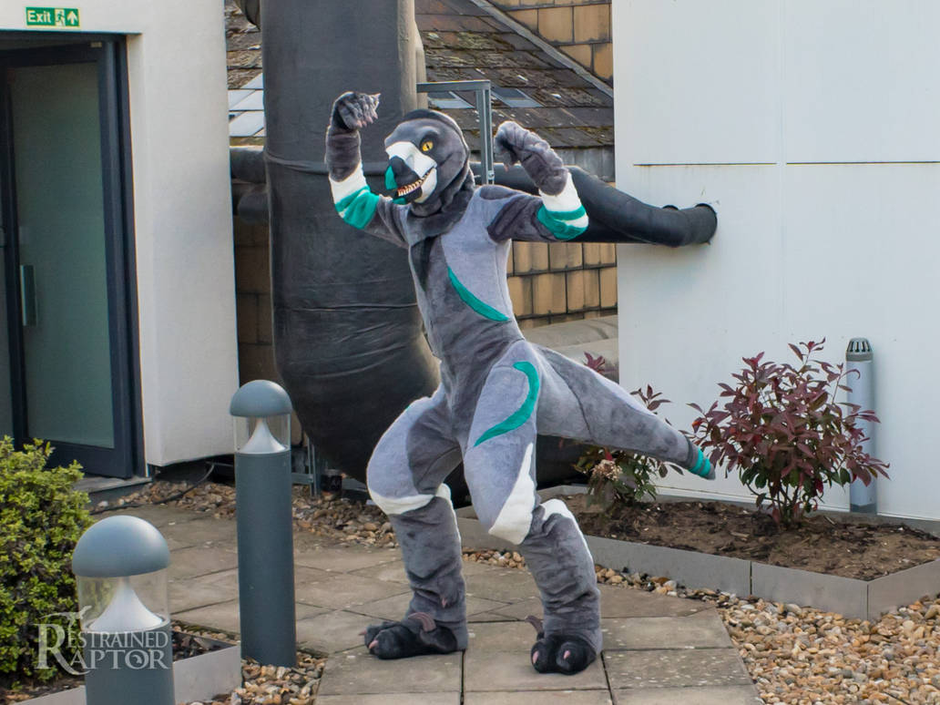 Theta - Utahraptor Fursuit by RestrainedRaptor on DeviantArt