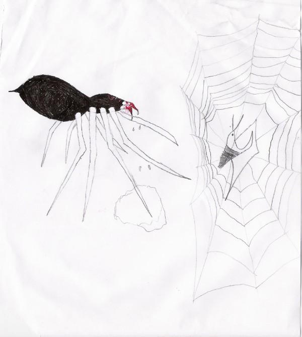 Spider Insect Deviantart Spider by Lostgothsoul on DeviantArt