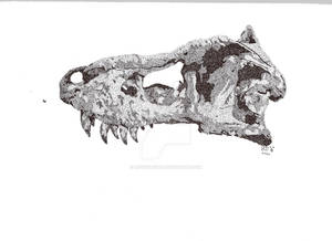 t-rex skull