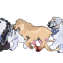 stampeed