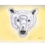 polarbear sketch coloured ver