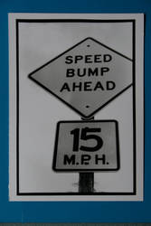 Speed Bump Warning