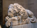 Lion2 by autumn-icestock