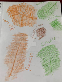 Tracing real leafs